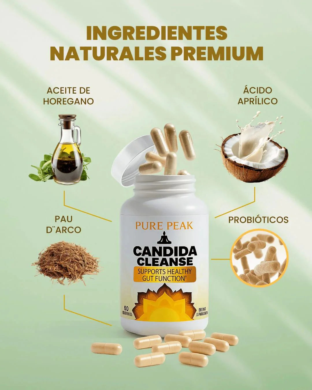 Oferta 2x1 Candida Cleanse ¿Estas listo para recuperar tu energía y mejorar tu digestión?